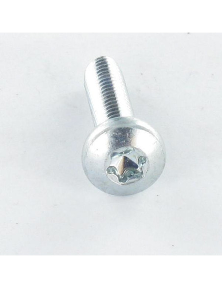 Parafuso autorroscante cabeça abaulada larga M2,5X12 TORX T8 Aço zinco branco microparafusos