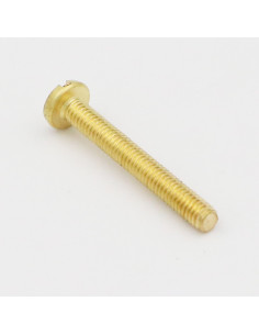 Parafuso de metais Bronze cabeça cilíndrica larga sulcada M2X4 microparafusos 2