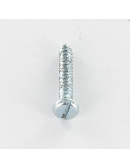 Parafuso de chapa cabeça cilíndrica sulcada 3,5 x 9,5 Aço zinco branco