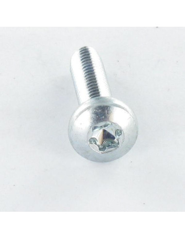 Parafuso autorroscante cabeça abaulada larga M6X50 TORX T30 Aço zinco branco