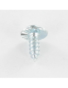 Parafuso de chapa cabeça de cogumelo dentado T20+TETON 3,5 x 9,5 Aço zinco branco 2