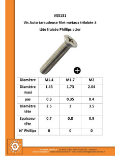 Parafuso autorroscante Perno metais cabeça fresada phillips Aço zinco branco 2X10 microparafusos 2