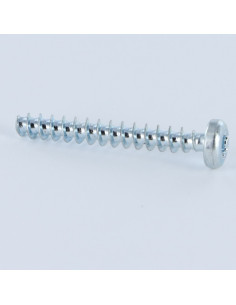 Parfuso de pvc cabeça cilíndrica TORX T20 4X30 Aço zinco branco