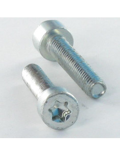 Parafuso autorroscante cabeça cilíndrica M4X12 TORX T20 Aço zinco branco