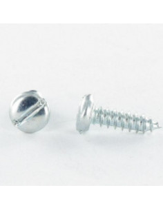 Parafuso de chapa cabeça cilíndrica quadrado phillips 5X15 Aço zinco branco