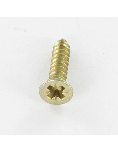 Parafuso de chapa cabeça fresada Pozi 4,8X16 Dicromato