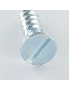 Parafuso de madeira cabeça fresada sulcada 5X25 Aço zinco branco 2