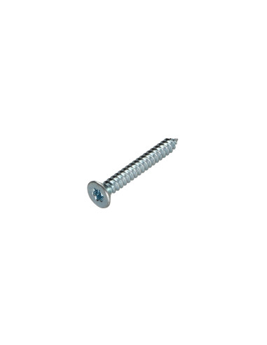 Parafuso de chapa cabeça fresada TORX T20 4,2 x 16 Aço zinco branco