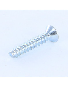 Parafuso de chapa cabeça fresada Phillips 2 sem ponta 4,8X25 Aço zinco branco 2