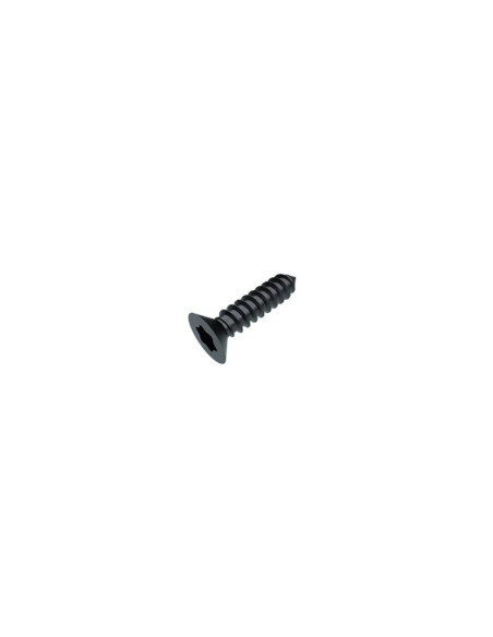 Parafuso de chapa cabeça fresada TORX T25 4,8X38 Aço zinco preto