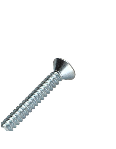 Parafuso de chapa cabeça fresada TORX T25 4,8X13 Aço zinco branco