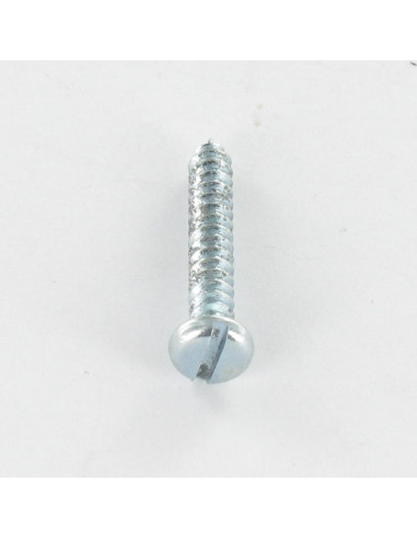 Parafuso de chapa cabeça cilíndrica larga sulcada 3,5 x 6,4 Aço zinco branco NFE25-663