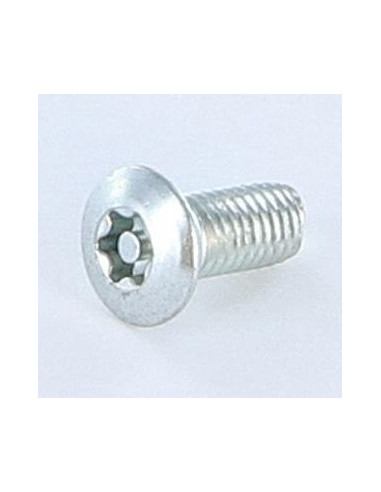 Parafuso autorroscante Seguro 5X12 cabeça fresada de panela T25+TETON Aço zinco branco