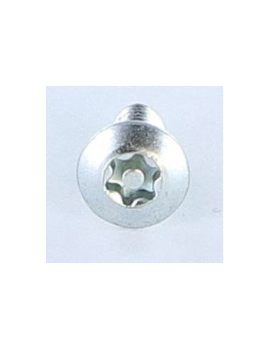 Parafuso autorroscante Seguro 5X12 cabeça fresada de panela T25+TETON Aço zinco branco
