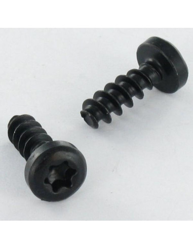 Parfuso de pvc cabeça cilíndrica TORX T10 3X10 Aço zinco preto microparafusos