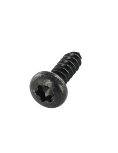 Parafuso de chapa cabeça cilíndrica 4,2 x 13 TORX T20 Aço zinco preto