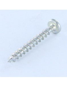 Spax Parafuso de madeira cabeça redonda T-STAR+ TORX T30 WIROX 6X25 2