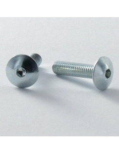 PARAFUSO cabeça de cogumelo chave de 4 M6X30 dentado ABAIXO cabeça Aço zinco branco