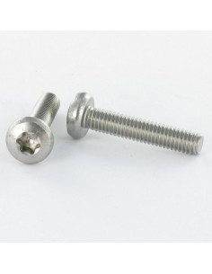 Parafuso de metais cabeça abaulada larga M4X8 TORX T20 Aço zinco branco