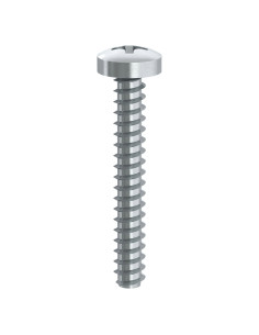 Parafuso de chapa cabeça cilíndrica Phillips 2 sem ponta 4,8X25 Aço zinco branco