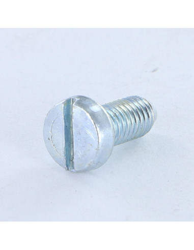 Parafuso de metais cabeça cilíndrica larga sulcada M5X12 PA Aço zinco branco