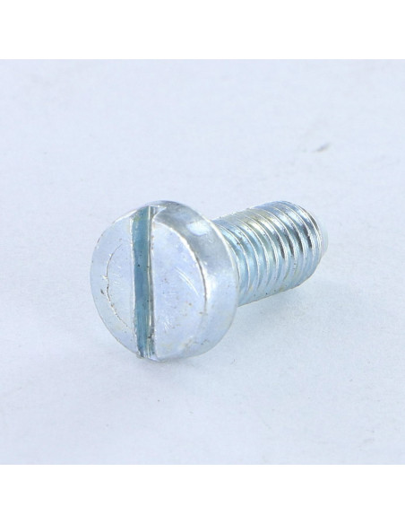 Parafuso de metais cabeça cilíndrica larga sulcada M5X12 PA Aço zinco branco
