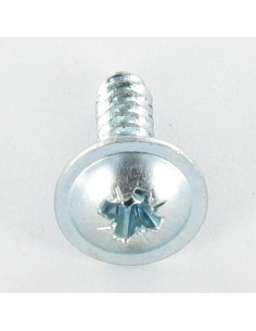 Parafuso de chapa cabeça abaulada larga Pozi 2,9 x 6,5 dentado Aço zinco branco 2