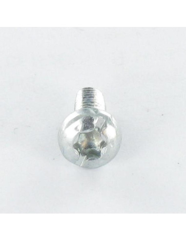 Parafuso autorroscante cabeça cilíndrica TORX roscado sobre sulcada 4X10 dentado Aço zinco branco