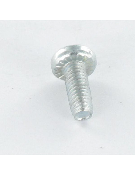 Parafuso autorroscante cabeça cilíndrica TORX roscado sobre sulcada 4X10 dentado Aço zinco branco