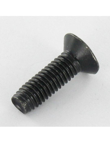 Parafuso autorroscante cabeça fresada M5X16 TORX T25 Aço zinco preto