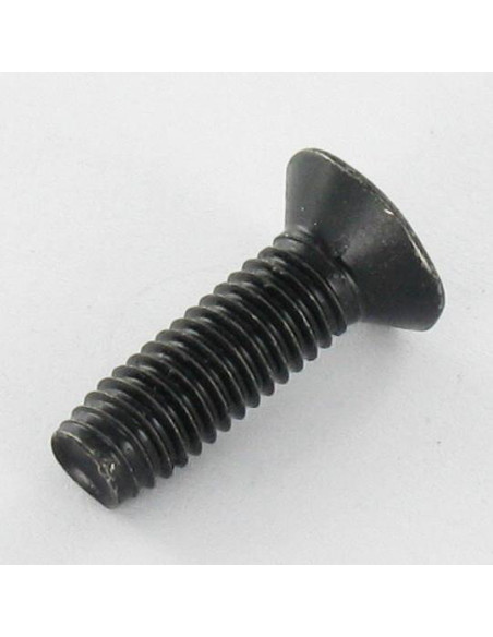 Parafuso autorroscante cabeça fresada M5X16 TORX T25 Aço zinco preto