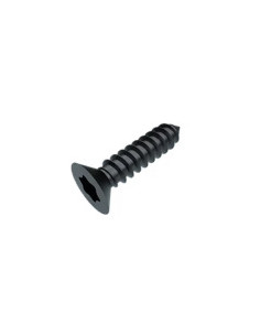 Parafuso de chapa cabeça fresada TORX T25 4,8X16 Aço zinco preto