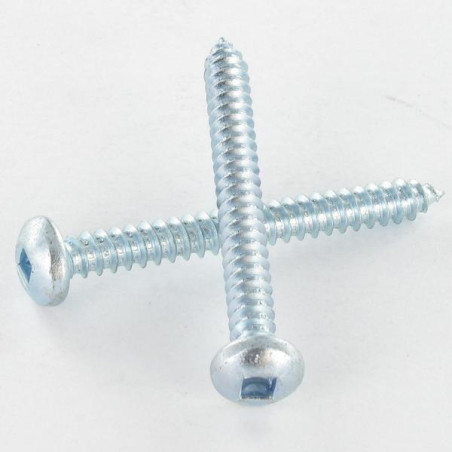 Parafuso de chapa cabeça abaulada larga quadrado 5,5X50 Aço zinco branco Parafuso com Cabeça com Fenda quadrada 3