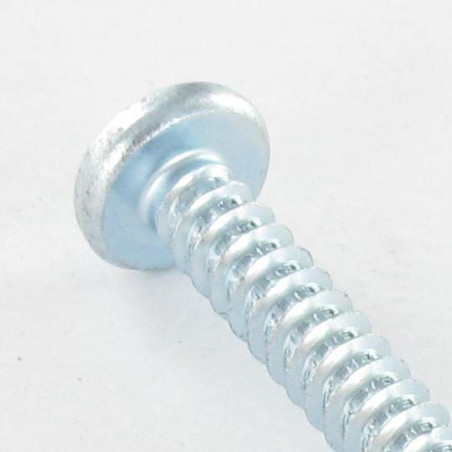 Parafuso de chapa cabeça abaulada larga quadrado 5,5X50 Aço zinco branco Parafuso com Cabeça com Fenda quadrada 3