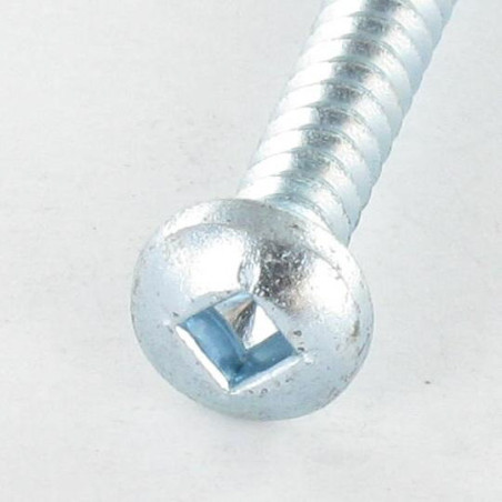 Parafuso de chapa cabeça abaulada larga quadrado 5,5X50 Aço zinco branco Parafuso com Cabeça com Fenda quadrada 3