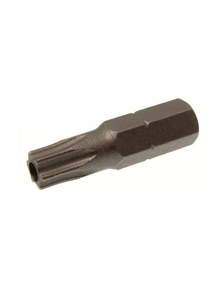 Ponteira Seguro TORX T45 - Parafuso Express