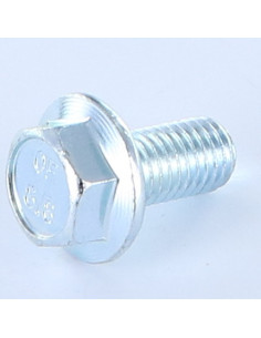 Parafuso de metais cabeça hexagonal M12X25 flange com gola serrilhada Classe 8.8 Aço zinco branco