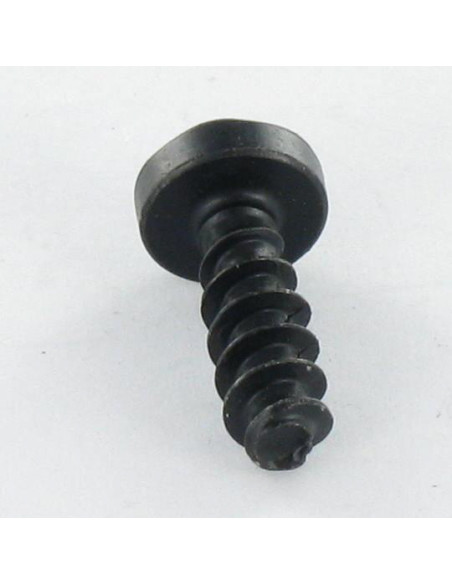 Parfuso de pvc cabeça cilíndrica TORX T20 4X12 Aço zinco preto