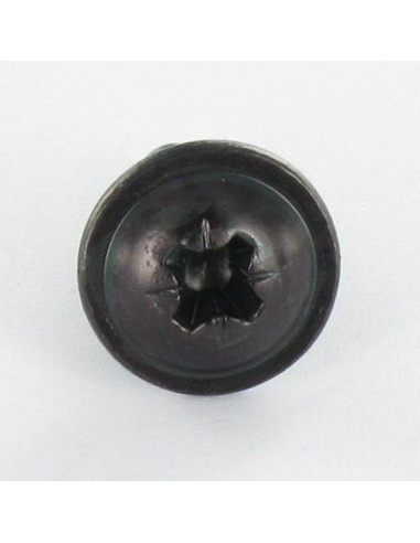 Parafuso de chapa cabeça de cogumelo Pozi 4,8 x 9,5 Aço zinco preto sem ponta