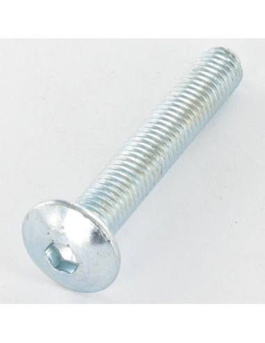 PARAFUSO cabeça de cogumelo M8X55 chave de 5 Aço zinco branco perno piloto