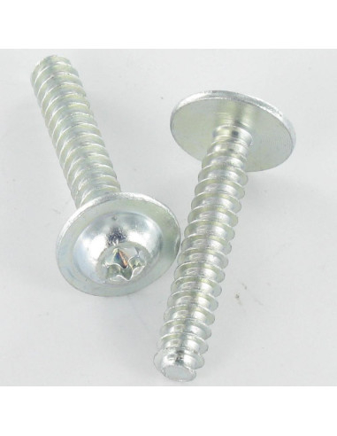 Parfuso de pvc cabeça redonda larga 5X30 TORX T25 Aço zinco branco