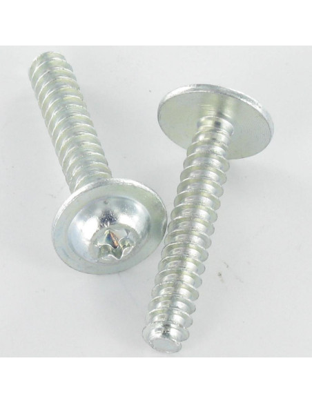 Parfuso de pvc cabeça redonda larga 5X30 TORX T25 Aço zinco branco