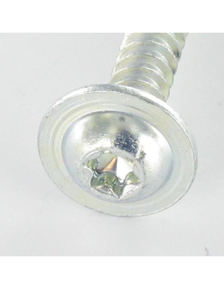 Parfuso de pvc cabeça redonda larga 5X30 TORX T25 Aço zinco branco