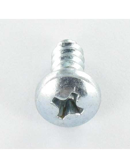Parafuso de chapa cabeça abaulada larga Phillips 2 4,8X19 Aço zinco branco