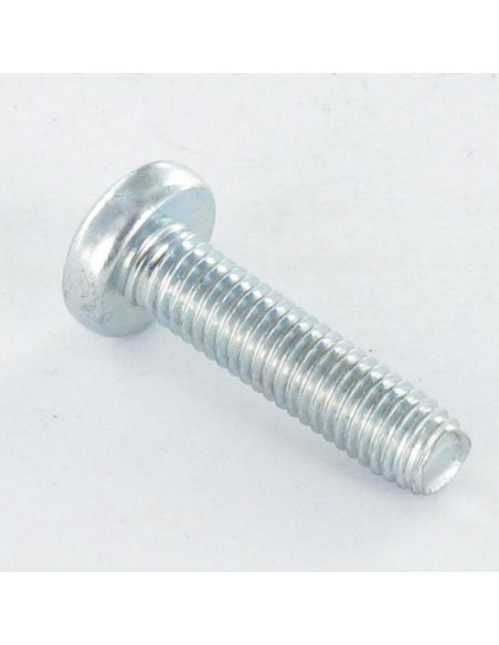 Parafuso autorroscante cabeça abaulada larga M3X6 TORX T10 Aço zinco branco microparafusos