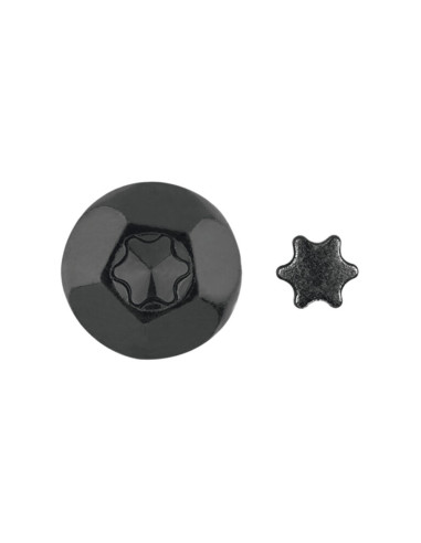PARAFUSO dobradiça Seguro 2 peças TORX T40 7X50 Aço zinco preto