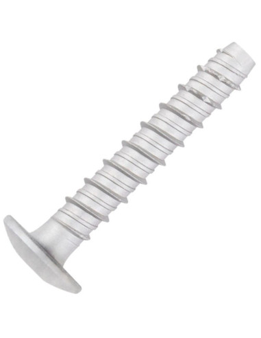 Parafuso de betão cabeça cabeça panela TORX TORX T30 6X40 Aço zinco branco