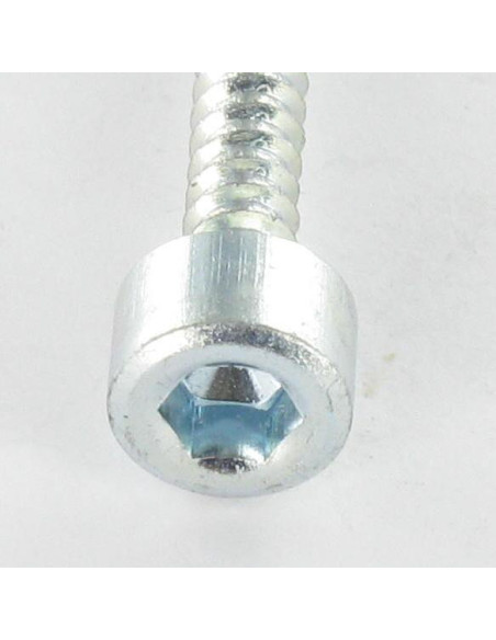 Parafuso de chapa Parafuso cabeça oca sextavada chave de 5 4,8X50 Aço zinco branco