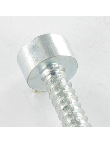 Parafuso de chapa Parafuso cabeça oca sextavada chave de 5 4,8X50 Aço zinco branco