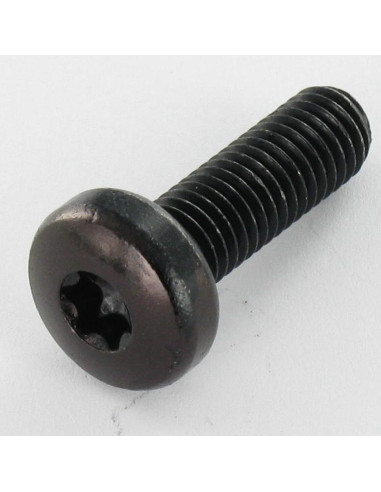 Parafuso de metais cabeça abaulada larga M4X10 TORX T20 Aço zinco preto